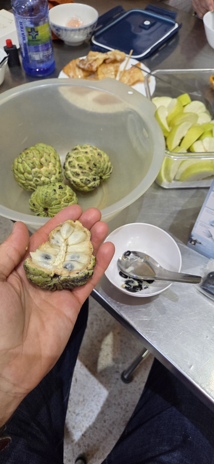 Fresh custard apple opened by hand at the table
